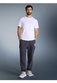 4f - 4F Spodnie dresowe joggery męskie - szare M. Kolor: szary. Materiał: dresówka. Wzór: gładki. Sport: fitness #1