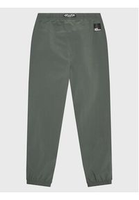 Jack Wolfskin Spodnie outdoor Teen 1609861 Zielony Regular Fit. Kolor: zielony. Materiał: syntetyk. Sport: outdoor