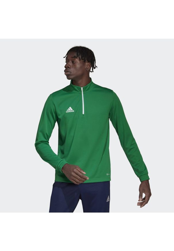 Bluza piłkarska męska Adidas Entrada 22 Training Top. Kolor: wielokolorowy, biały, zielony. Sport: piłka nożna