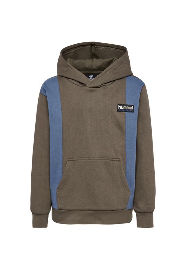 Bluza z kapturem dla dzieci Hummel Allton. Typ kołnierza: kaptur. Kolor: brązowy
