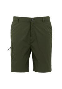 Regatta - Shorty Męskie Wiele Keszeni Dalry. Kolor: zielony. Sport: turystyka piesza #1