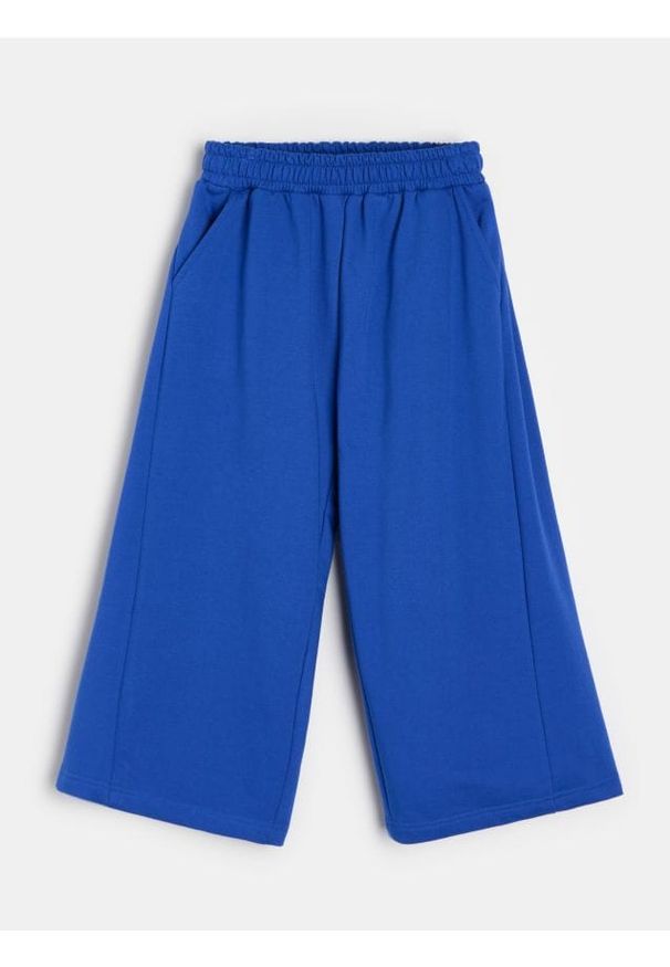 Sinsay - Spodnie dresowe wide leg z polarem - niebieski. Kolor: niebieski. Materiał: dresówka, polar