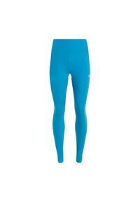 Legginsy treningowe damskie Under Armour Motion. Kolor: niebieski