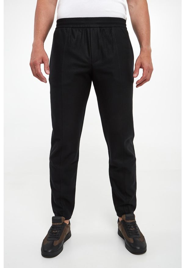 Emporio Armani - Spodnie męskie wełniane EMPORIO ARMANI. Materiał: wełna