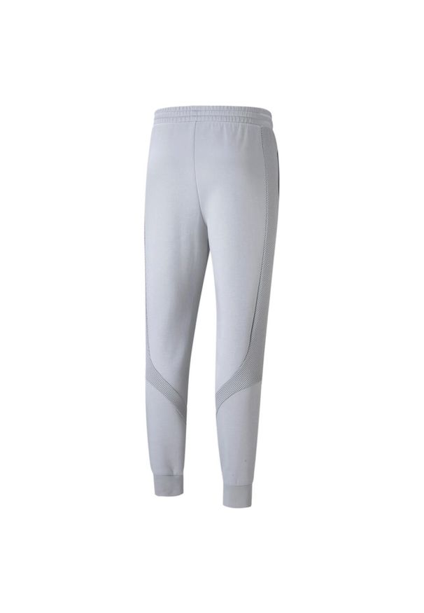 Puma Spodnie Mapf1 53187902. Kolor: szary