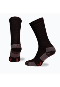 TEKO - Skarpety trekkingowe Teko Tactical Merino Boot Crew Height. Kolor: czarny