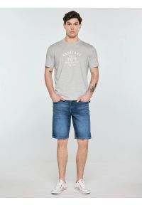 Big-Star - Koszulka męska z nadrukiem szara Serter 901. Okazja: na co dzień. Kolor: szary. Materiał: materiał, bawełna, denim, dzianina, skóra. Długość rękawa: krótki rękaw. Długość: krótkie. Wzór: nadruk. Styl: klasyczny, casual #6