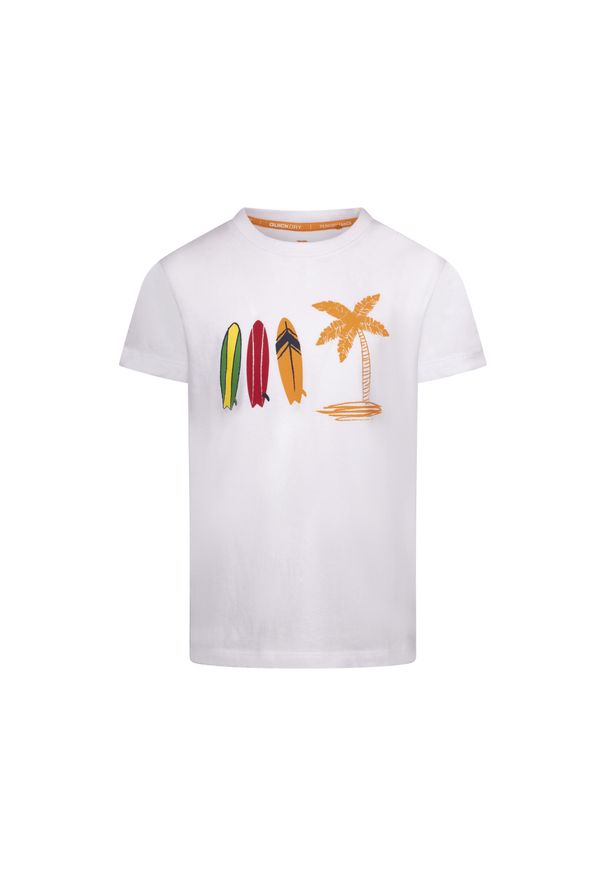 TRESPASS - T-shirt Dla Chłopca Alltown. Kolor: biały