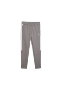 Puma - Młodzieżowe spodnie Evostripe PUMA Cast Iron Gray. Kolor: szary