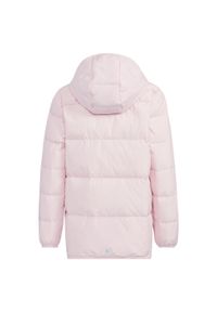 Adidas - Kurtka dziecięca adidas 110 Frosty Winter. Kolor: różowy. Materiał: puch. Styl: sportowy