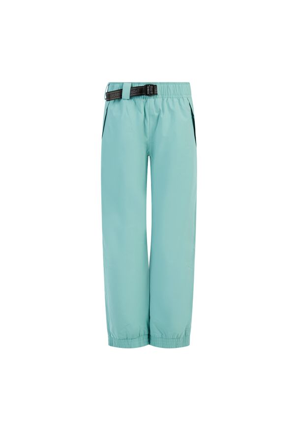 Spodnie narciarskie dla kobiet Protest Sami. Kolor: niebieski. Sezon: zima. Sport: narciarstwo