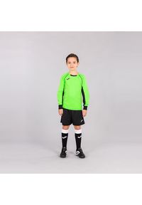 Koszulka bramkarska męska Joma Protec. Kolor: niebieski. Sport: piłka nożna #2