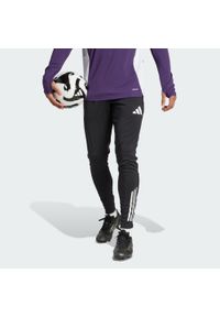 Adidas - Spodnie dresowe Manchester United 2025/26. Kolor: fioletowy, wielokolorowy, czarny. Materiał: dresówka. Sport: piłka nożna