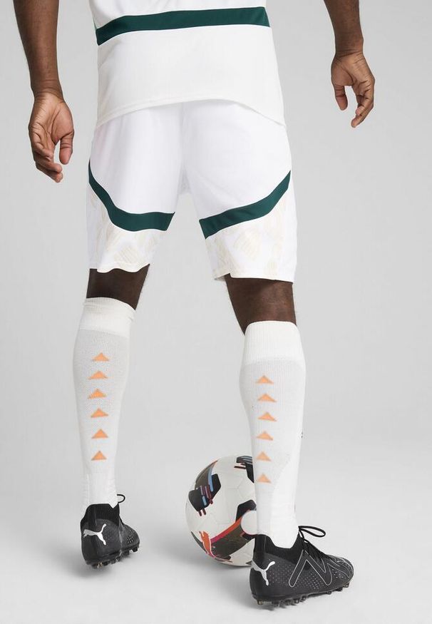 Puma - Męskie szorty Wybrzeże Kości Słoniowej 2025 PUMA White Dark Myrtle Green. Kolor: biały, wielokolorowy, zielony