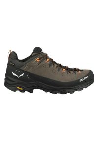 Buty Trekkingowe Męskie Salewa Alp Trainer 2 Gtx. Kolor: czarny, wielokolorowy, brązowy