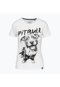 PITBULL - Koszulka damska Pitbull Puppy 2. Kolor: biały