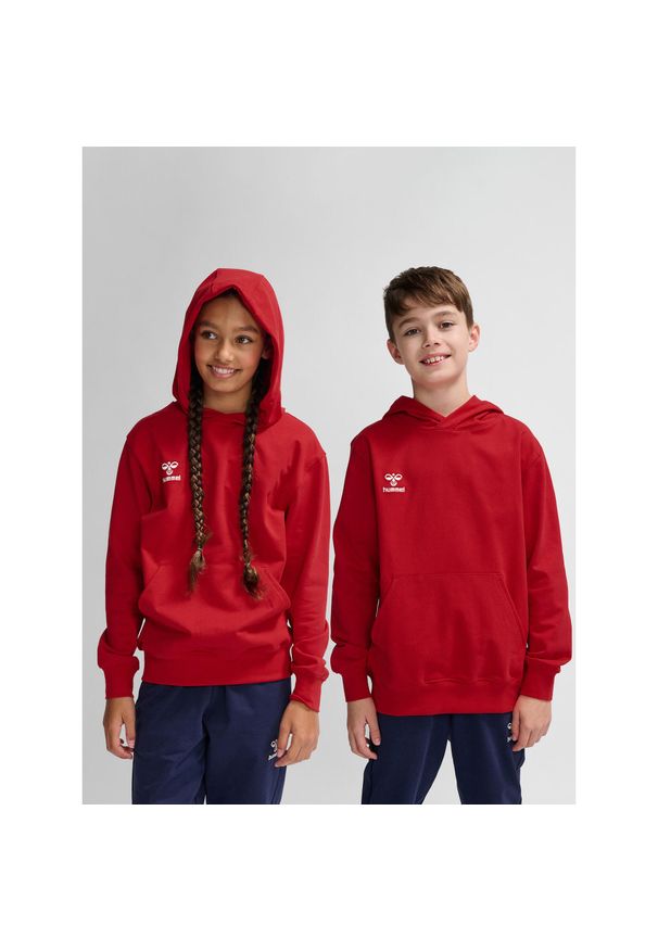 Bluza z kapturem dla dzieci Hummel Go 2.0. Typ kołnierza: kaptur. Kolor: wielokolorowy, czerwony, różowy. Sport: joga i pilates