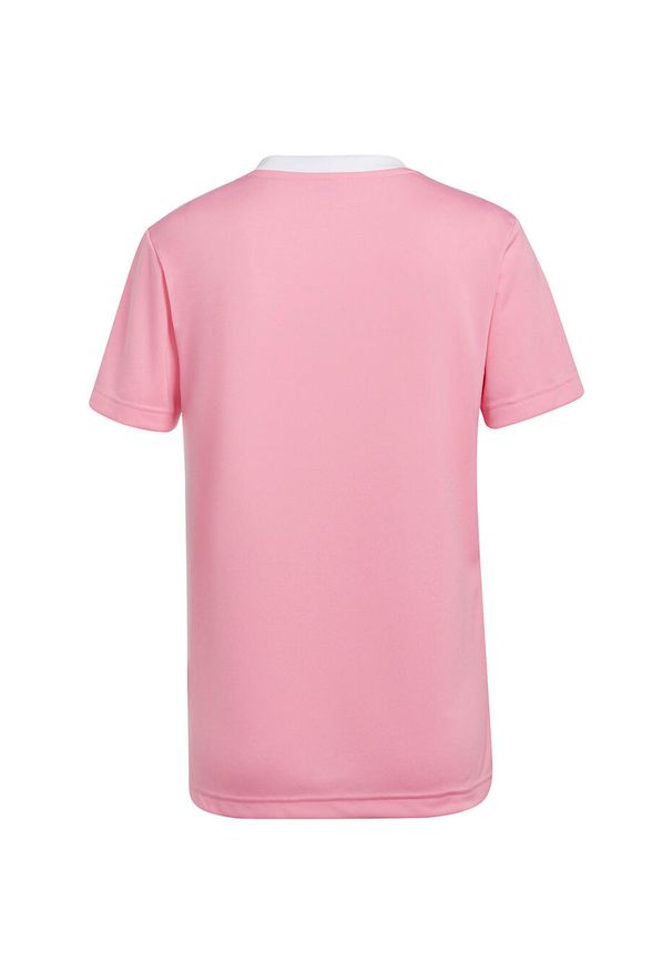 Koszulka piłkarska damska Adidas Entrada 22 Jersey. Kolor: różowy. Materiał: jersey. Sport: piłka nożna, turystyka piesza, fitness