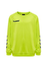 Bluza do piłki ręcznej dla dzieci Hummel Promo. Kolor: zielony, wielokolorowy, żółty. Sport: piłka ręczna
