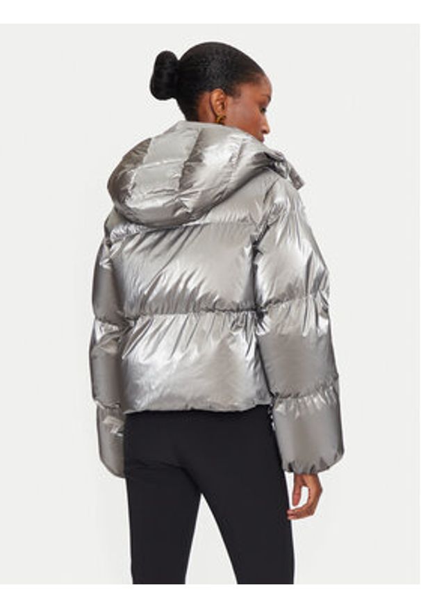 Elisabetta Franchi Kurtka zimowa PI-77D-46E2-V570 Srebrny Regular Fit. Kolor: srebrny. Materiał: syntetyk. Sezon: zima