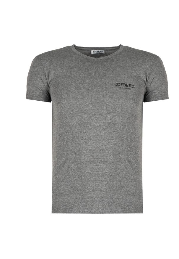 Iceberg T-shirt | ICE1UTS02 | Mężczyzna | Szary. Typ kołnierza: dekolt w kształcie V. Kolor: szary. Materiał: bawełna, elastan. Wzór: nadruk