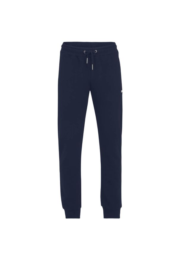 Fila - Męskie Spodnie Dresowe Braives. Kolor: niebieski. Materiał: dresówka