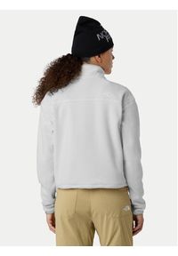 The North Face Polar Glacier NF0A8D2C Beżowy Regular Fit. Kolor: beżowy. Materiał: syntetyk #5