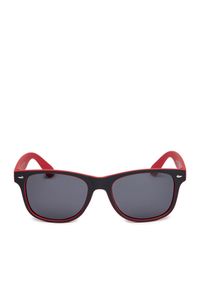 Okulary przeciwsłoneczne Quiksilver. Kolor: czarny