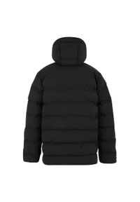 Regatta - Męska Wodoodporna Kurtka Termiczna Altoro. Kolor: czarny. Materiał: puch. Sport: turystyka piesza #2