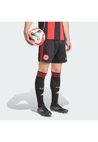 Adidas - Szorty podstawowe Eintracht Frankfurt 25/26. Kolor: czarny. Sport: piłka nożna