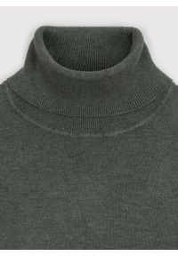 Pako Lorente - PAKO LORENTE - Golf męski w zielonym kolorze. Typ kołnierza: golf. Kolor: szary, zielony, brązowy, beżowy. Materiał: wiskoza, nylon. Sezon: jesień #3