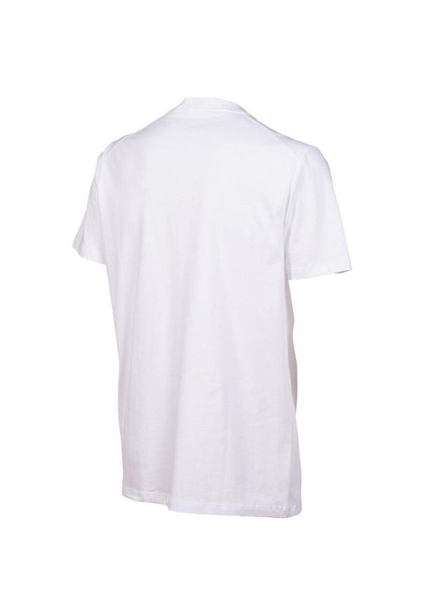 Koszulka Arena Team T-Shirt Panel. Kolor: biały. Materiał: materiał, skóra