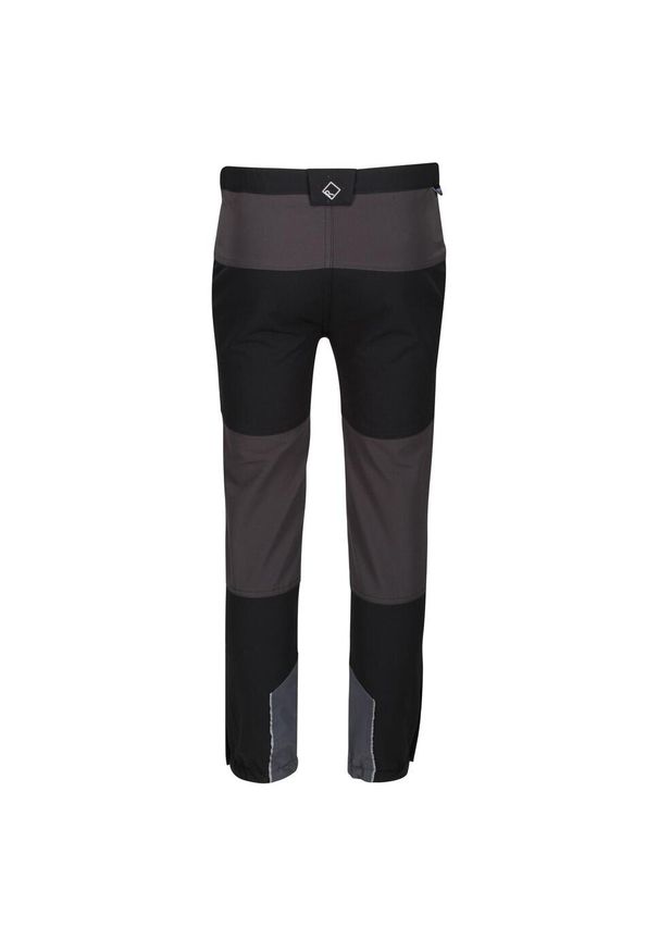 Regatta - Dziecięce Spodnie Trekkingowe Tech Mountain. Kolor: szary, fioletowy, wielokolorowy, czarny. Sezon: lato. Sport: turystyka piesza