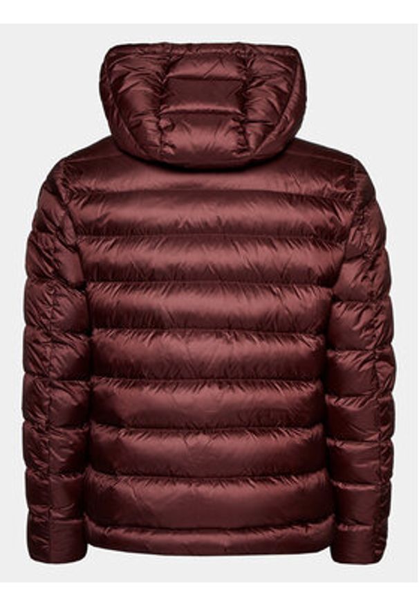 Blauer Kurtka puchowa 23WBLUC03075 Brązowy Regular Fit. Kolor: brązowy. Materiał: puch, syntetyk
