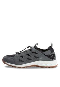 Jack Wolfskin Trekkingi Woodland 2 Hybrid Low 4051301 Szary. Kolor: szary. Materiał: skóra. Sport: turystyka piesza