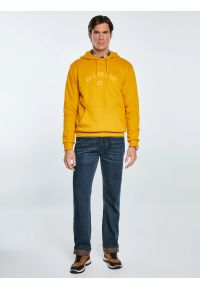 Big-Star - Bluza męska z nadrukiem z kapturem żółta Aslan 203. Okazja: na co dzień. Typ kołnierza: kaptur. Kolor: złoty. Materiał: dzianina, denim. Wzór: nadruk. Styl: casual, klasyczny #6