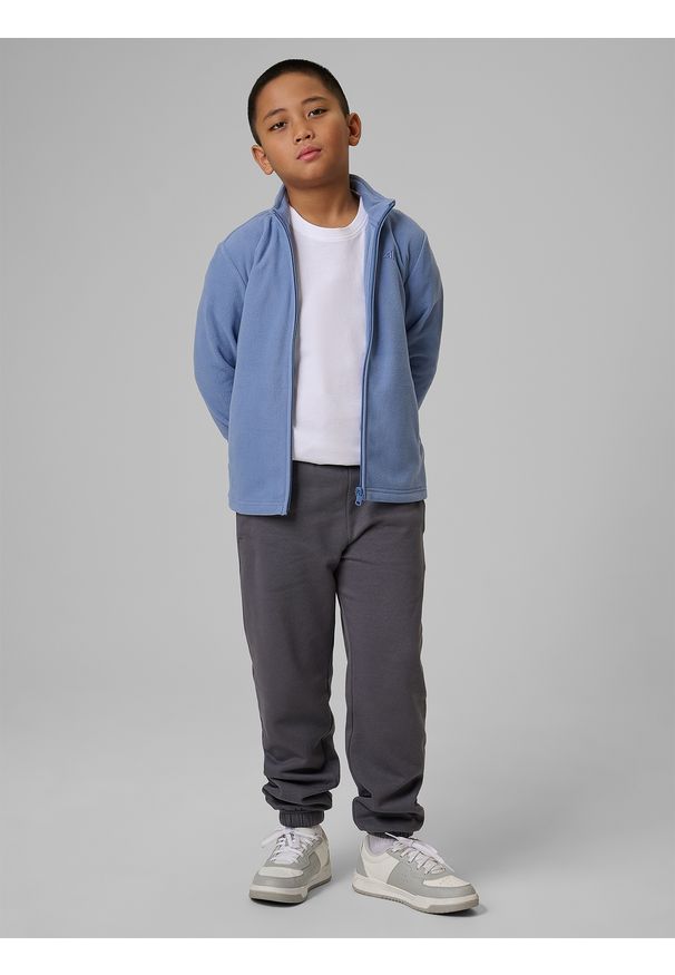 4f - 4F Polar regular bez kaptura chłopięcy - granatowy 122 (6-7 lat). Typ kołnierza: bez kaptura. Kolor: niebieski. Materiał: polar. Sezon: lato. Sport: wspinaczka, turystyka piesza