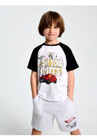 Sinsay - Szorty Hot Wheels - szary. Kolor: szary