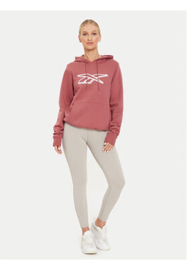 Reebok Bluza Graphic OTH Hoodia 100202148 Brązowy Regular Fit. Kolor: brązowy. Materiał: bawełna