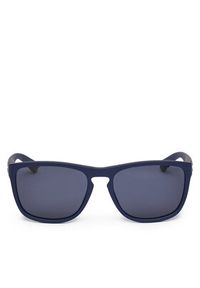 POLAROID - Polaroid Okulary przeciwsłoneczne PLD 2161/S Granatowy. Kolor: niebieski #2