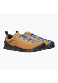 keen - Buty męskie KEEN Jasper. Kolor: brązowy. Sport: turystyka piesza