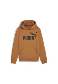 Bluza sportowa dla dzieci Puma Ess Big Logo Fl. Kolor: brązowy