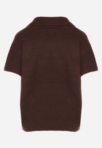 Born2be - Brązowy Sweter z Wełną z Krótkim Rękawem i Kołnierzykiem Tevalina. Kolor: brązowy. Materiał: wełna. Długość rękawa: krótki rękaw. Długość: krótkie. Styl: elegancki, klasyczny #3