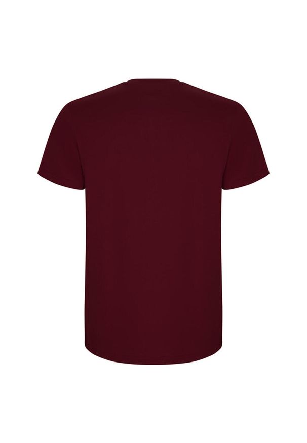 ROLY - Męska Koszulka Stafford. Kolor: czerwony. Sport: turystyka piesza