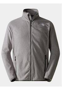 The North Face Polar Glacier NF0A855X Szary Regular Fit. Kolor: szary. Materiał: syntetyk