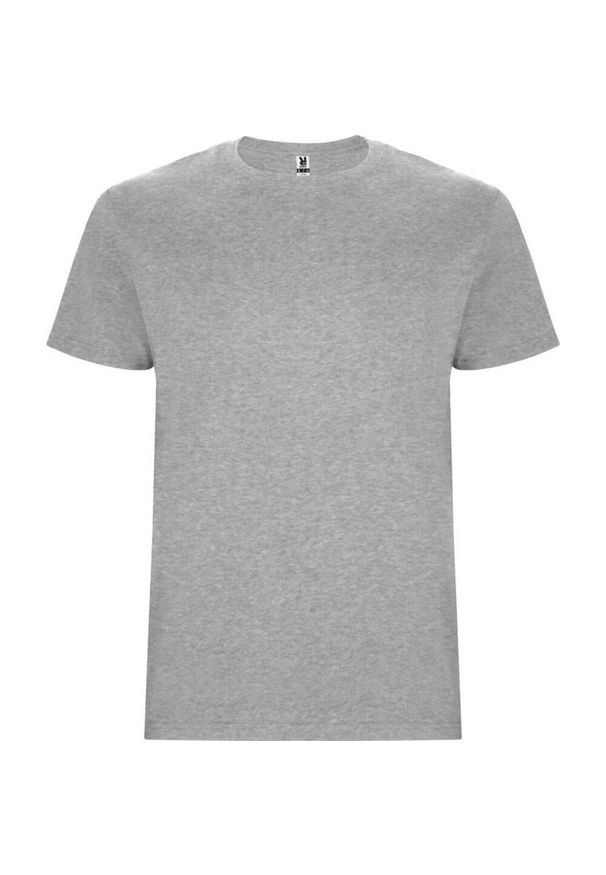 ROLY - Męska Koszulka Stafford. Kolor: szary. Sport: turystyka piesza