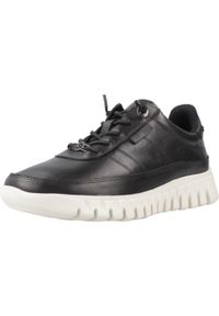 Carmela - Buty CARMELA 162525C Czarny. Kolor: czarny. Materiał: tkanina, skóra. Styl: sportowy