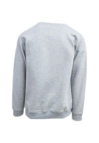 Bluza DC Shoes Density Zone, Mężczyźni. Kolor: szary