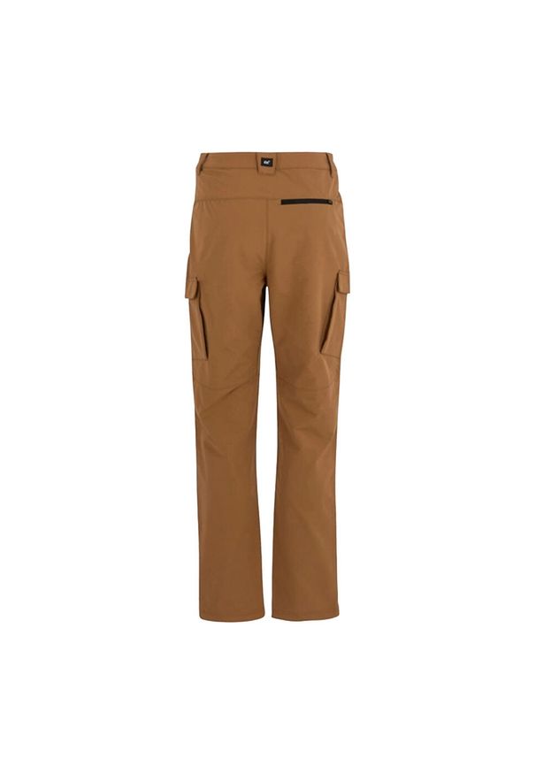 Regatta - Spodnie Męskie Questra Cargo. Kolor: brązowy. Sezon: lato. Sport: turystyka piesza