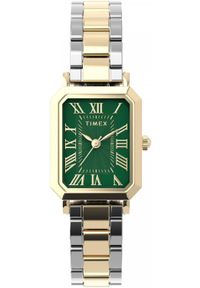 Zegarek Timex Zegarek damski Timex TW2Y72000 srebrny. Kolor: srebrny #1
